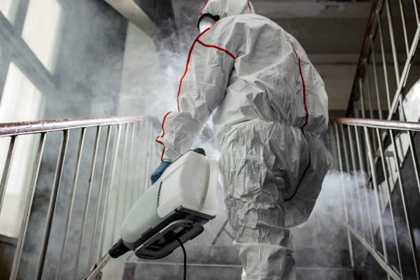 Environmental Consulting for Mold Prevention in Langhorne, PA